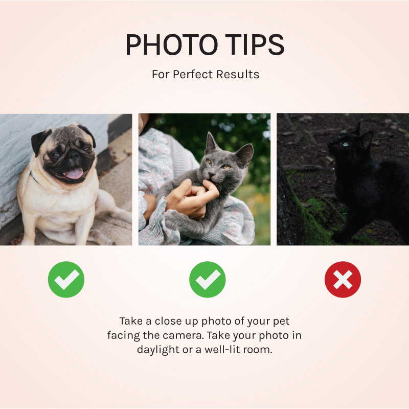 Photo guidelines